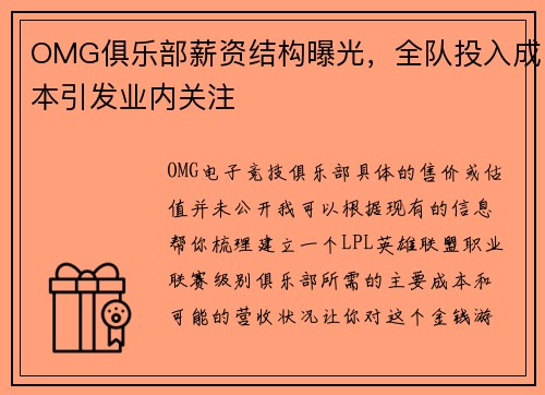 OMG俱乐部薪资结构曝光，全队投入成本引发业内关注